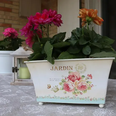 Seashell Lignano Sabbiadoro