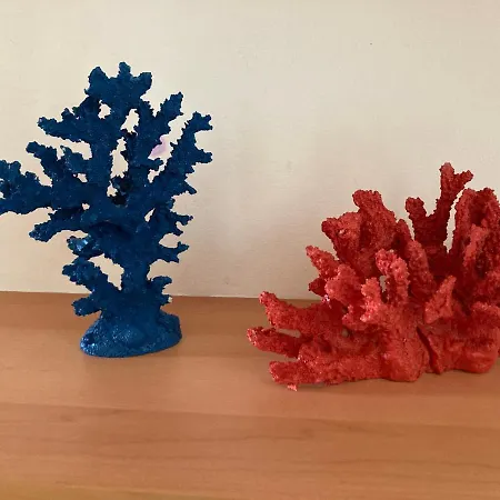 Seashell Apartamento