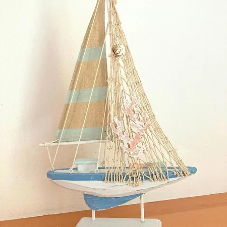 Seashell