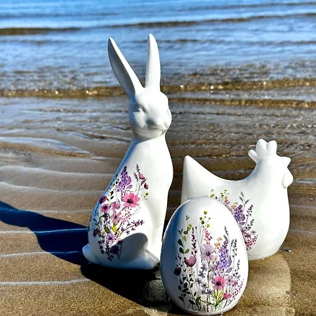 Seashell リニャーノ・サッビアドーロ