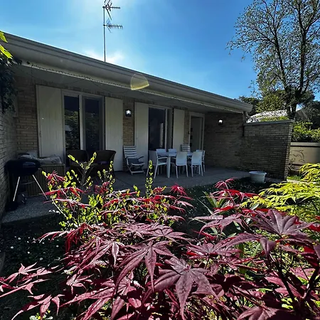 Seashell * Lignano Sabbiadoro