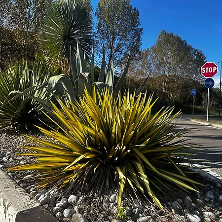 Seashell Appartement