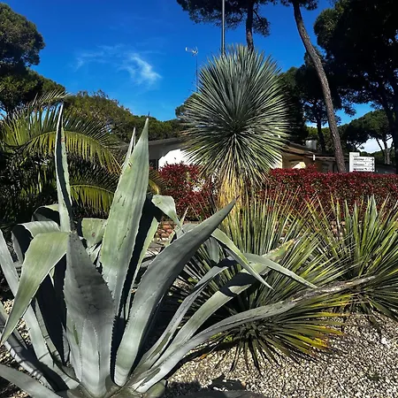Seashell Apartamento Lignano Sabbiadoro